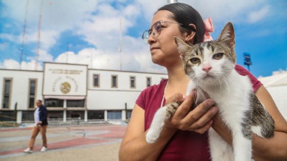 ¿Se robaron a tu mascota? Esto es lo que debes hacer