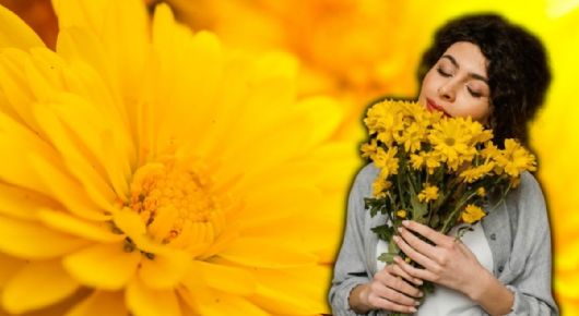 ¿Por qué se regalan FLORES AMARILLAS hoy 21 de marzo?