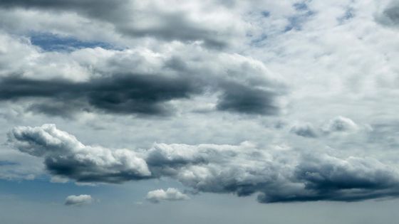 Pronóstico del clima en Zumpahuacán, Estado de México: martes 16 de junio con lluvia ligera
