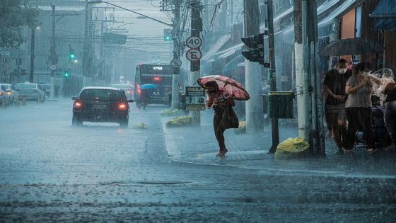 Clima Zumpahuacán, Estado de México, martes 23 de junio: lluvia ligera y ambiente templado