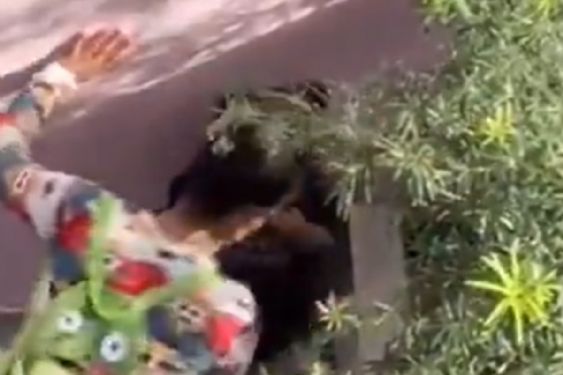 Foto de: Maestra obliga a una niña de 2 años a comerse su vómito en un kínder: VIDEO