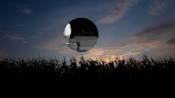 Foto de: Mujer queda aterrada al ver la espeluznante figura que captó en la noche en busca de mapaches