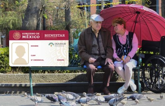 La credencial INAPAM ya se saca en tiendas de autoservicio con sello digital y validez oficial; así se puede obtener