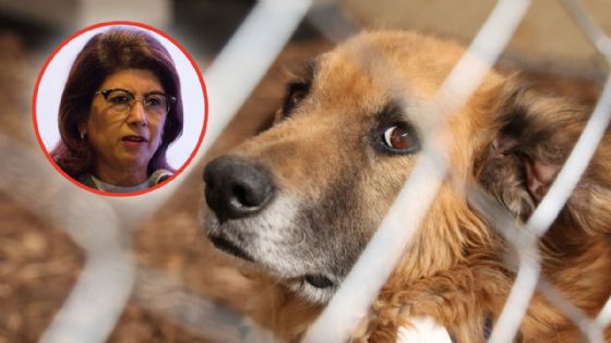 Foto de: Mariela Gutiérrez, exalcaldesa mataperros, sacrificó a 5 animales por día