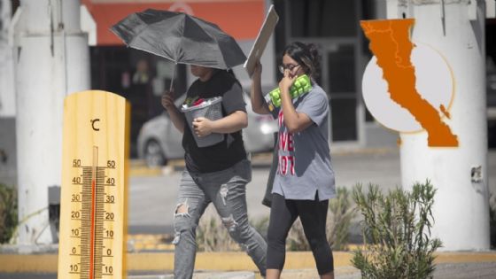 Calor extremo: Mexicali y noreste de Baja California arderán con temperaturas de entre 40 y 45 grados este 15 de mayo