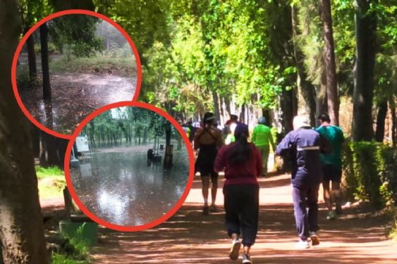 Foto de: ¿Cuándo abre el Parque Viveros de Coyoacán tras CIERRE por desbordamiento del Río Magdalena?