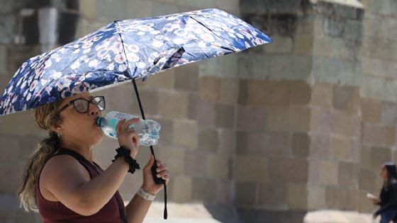 Estos son los 11 estados en alerta por un anticiclón y una onda de calor, provocarán temperaturas de hasta 45 grados