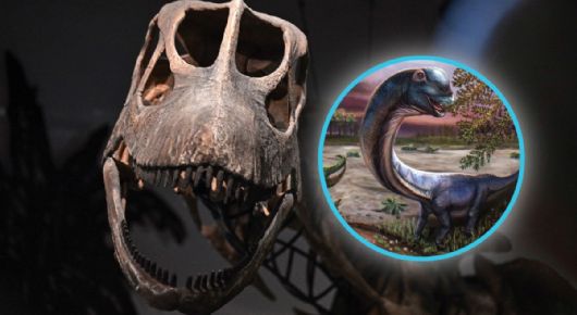 Así era el Nagatitan, el gigantesco dinosaurio recién descubierto que pesaba casi una decena de elefantes