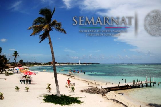 Foto de: Semarnat no aprobará el proyecto "Perfect Day" en Mahahual: Alicia Bárcena