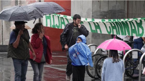 Frente Frío 48 llega con lluvias torrenciales, vientos de hasta 100 km/h y olas de 5 metros | Estados afectados