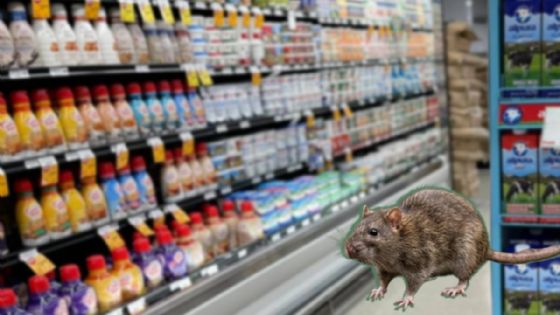 Cierran popular supermercado por hallazgo masivo de ratas e "incumplimientos de las normas de higiene"