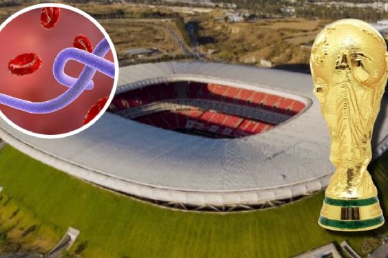 El reto epidemiológico de Guadalajara: los protocolos contra el ébola ante los partidos de El Congo