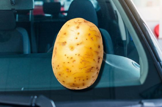 Frotar una papa en los vidrios del auto antes de que llueva: el truco viral que todos prueban, ¿sirve?