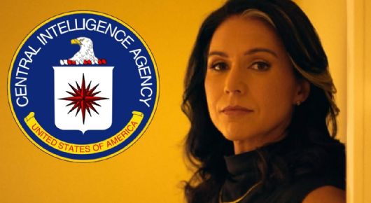 Renuncia Tulsi Gabbard, directora de inteligencia de Donald Trump