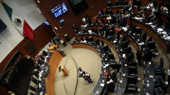 Foto de: Senado avala nueva causal para anular elecciones por intervención extranjera