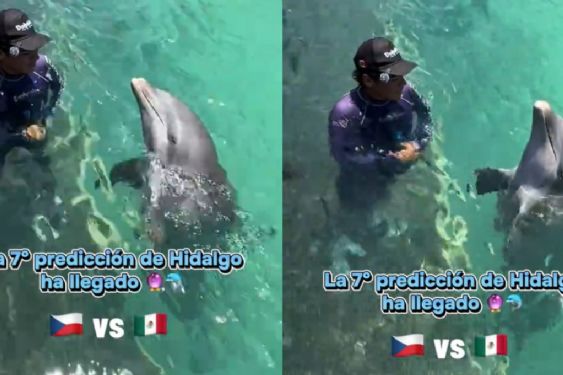 Delfín 'Hidalgo' predice quién ganará el partido de México vs. Chequia de la Copa Mundial 2026 | VIDEO