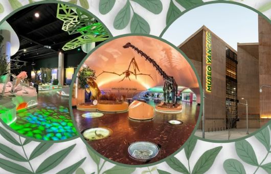 3 museos de ciencia interactivos y gratuitos para visitar en la CDMX durante las vacaciones
