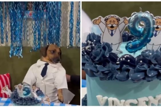 Perrito celebra su cumpleaños 9 con fiesta temática del Dr Simi y se vuelve viral
