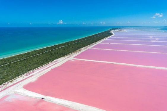 Orgullo nacional: el lugar mágico en Yucatán que es un verdadero paraíso natural donde se une un lago rosa con mar azul