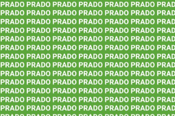 Solo el ingenio de una verdadera mente maestra puede encontrar la palabra 'PERRO' en menos de 5 segundos