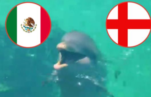 Delfín 'Hidalgo' predice quién ganará el partido de México vs Inglaterra de la Copa Mundial 2026 | VIDEO