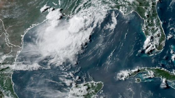 Bertha ya tocó tierra y pone en alerta a todos estos estados del Golfo de México: trayectoria y territorios afectados