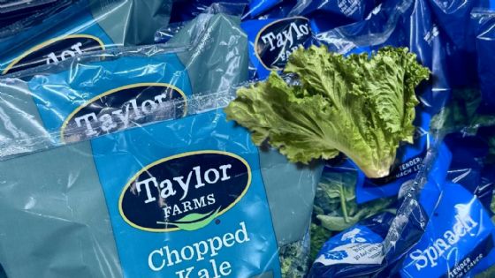 Foto de: Taylor Farms anuncia cierre temporal y voluntario en Guanajuato tras caso de lechuga contaminada