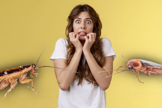 Cómo eliminar las cucarachas del baño y la cocina: los métodos que sí funcionan y los errores que debes evitar