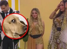 Los mejores memes del primer domingo de La Casa de los Famosos México