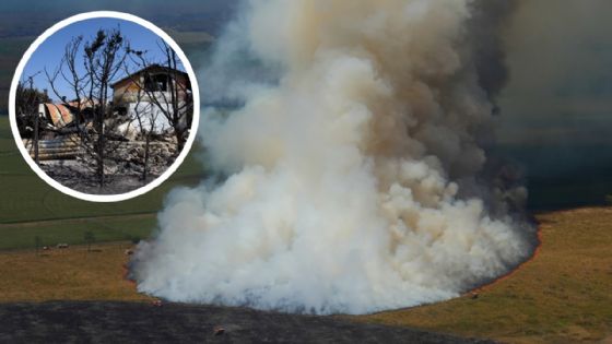 Foto de: Les llaman incendios de sexta generación por su extrema violencia y velocidad