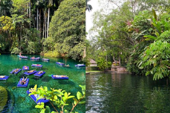 El bello oasis de Morelos donde la naturaleza y el agua se conectan en un espacio mágico: ideal para ir a descansar este domingo 16 de agosto