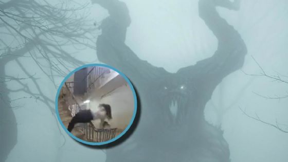 Foto de: Una fuerza invisible empuja a joven por las escaleras y desata teorías | VIDEO PARANORMAL
