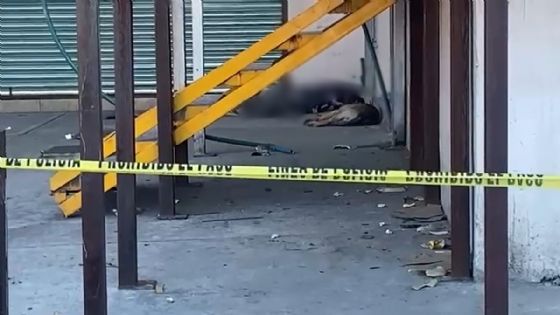 Perrito enternece tras quedarse junto al cuerpo de su dueño que fue herido por picadura de alacrán