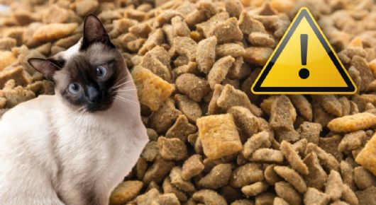 Retiran de forma URGENTE famosa marca de alimento para GATOS de todas las tiendas; advierten riesgo mortal para mascotas