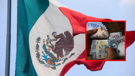 Multarán con más de un millón de pesos a quienes canten las estrofas prohibidas del Himno Nacional