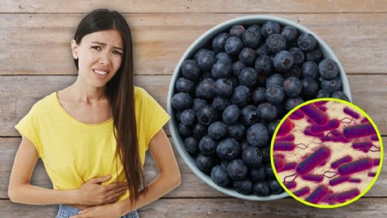 Estos son los 8 estados donde se vendieron las MORAS contaminadas con E.COLI que han dejado a decenas de hospitalizados