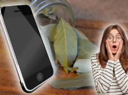 Hoja de laurel en el celular: el significado detrás de la tendencia viral según la espiritualidad