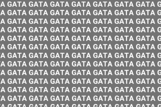 Sólo una mente extremadamente brillante puede encontrar la palabra 'GALA' en menos de 5 segundos