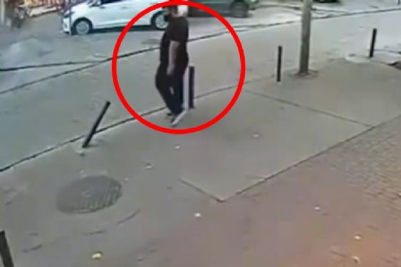 Foto de: Captan el momento en que un árbol cae encima de un hombre y sobrevive de milagro | VIDEO