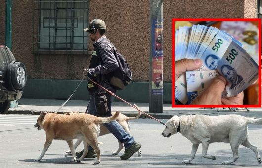 Multarán con más de 3 mil pesos a quienes saquen a pasear a su perro y cometan este error