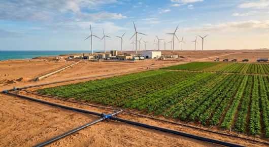 Marruecos convierte miles de hectáreas del desierto del Sahara en tierras de cultivo: el agua llega desde el océano