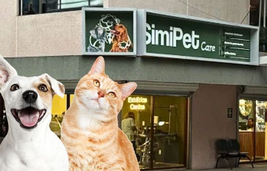 Estas son las nuevas veterinarias del Dr. Simi en CDMX con consultas de 75 pesos; ve dónde se ubican