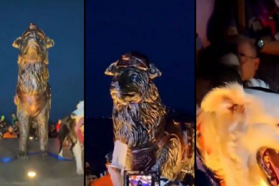 VIDEO | Perrito rescatista ya tiene su propia estatua en Venezuela