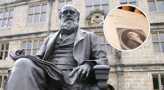 Cuál es el animal que Darwin más odiaba y sin el cual no habría escrito 'El origen de las especies'
