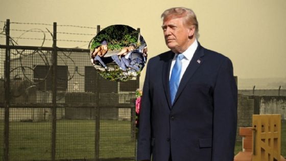 Foto de: Trump reacciona al ataque terrorista que Estados Unidos iba a sufrir este domingo