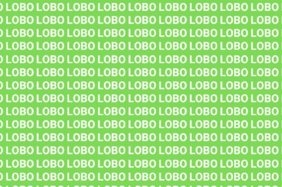 Sólo una mente demasiado brillante puede encontrar la palabra 'LORO’ en menos de 10 segundos
