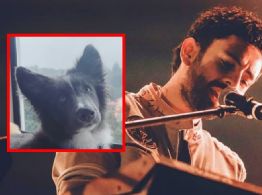 Fans piden en redes ayuda para localizar a Mila, mascota de Jonathan Meléndez desaparecida desde el día del crimen