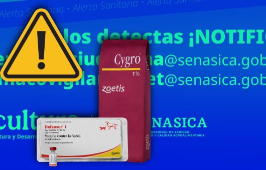 ALERTAN por vacuna contra la rabia FALSA; así la puedes identificar para asegurar el bienestar de tus perros y gatos